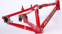Load image into Gallery viewer, STAATS BLOODLINE CRUISER FRAMES