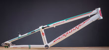 Load image into Gallery viewer, STAATS BLOODLINE CRUISER FRAMES