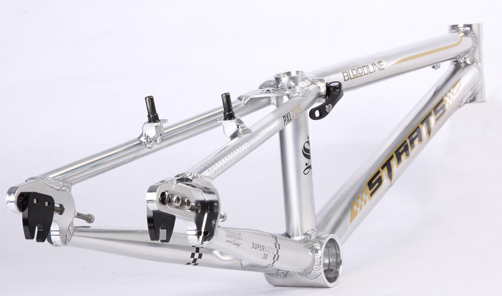 STAATS BLOODLINE 20