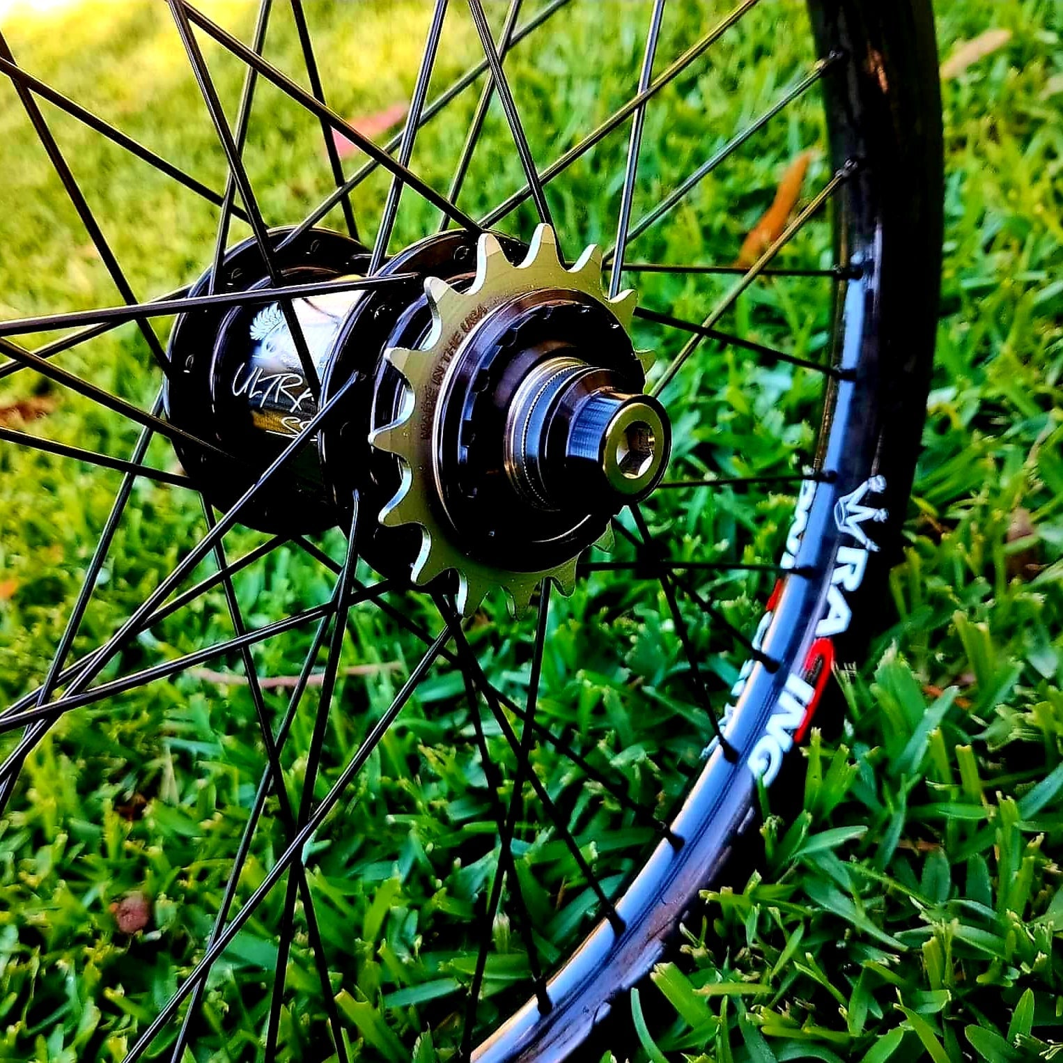 RIMS – BMXEDGE